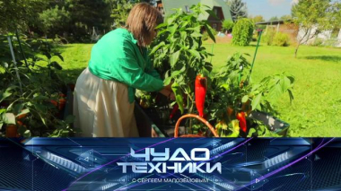 Чудо техники / Чипирование и польза микросхем под кожей, урожай с высоких грядок и расческа от секущихся волос / 12.06.2026