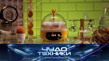 Домашний инкубатор, смартфон-книжка и теория поколений 19.09.2026