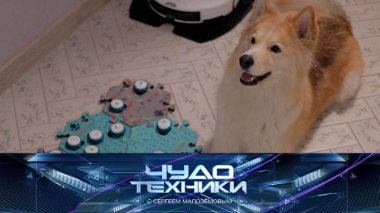 Чудо техники / Гаджеты для общения с питомцами, обзор портативных электростанций и тест фильтра для душа / 19.06.2026