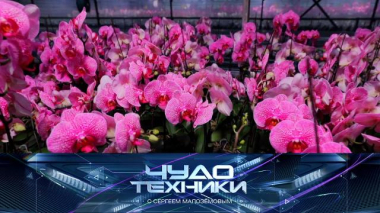 Чудо техники / Клонирование орхидей, современные настольные игры и электрочистка для рыбы / 06.03.2026