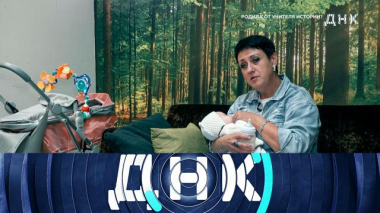 ДНК / «Родила от учителя истории?» / 26.09.2026