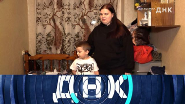 «Сын Котика?» 17.11.2025