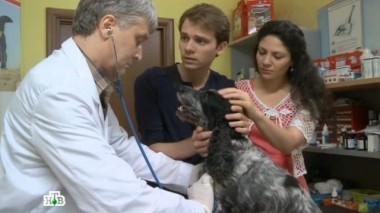 За что собачница взъелась на ветеринара и почему хочет засудить врача?
