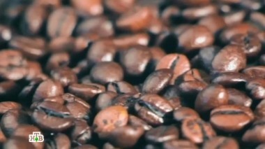 Вред и польза кофе, что такое кумкват и как выбирать корейские закуски