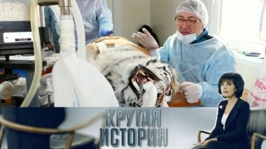 Адвокат тигра.Павел Фоменко