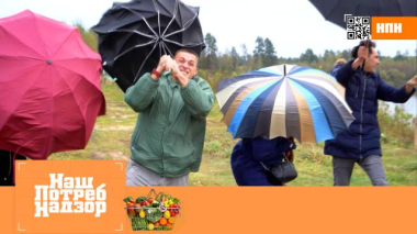 Эксперимент для зонтов с системой «антиветер», полезный корм для питомцев, разбавленный мед 01.11.2025
