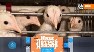 Как определить хорошее куриное яйцо на глаз и чем фаршируют пельмени на самом деле 12.04.2025