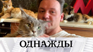 Любовь и котики Александра Олешко, юбилей программы и страшно интересная премьера 04.09.2021