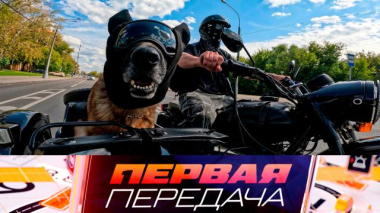 Новая схема обмана автовладельцев, перевозка питомца в мотоциклетной люльке и безопасные заезды на питбайках 02.09.2026
