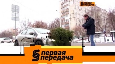 Правила перевозки новогодней елки и подготовка к зимнему автопутешествию