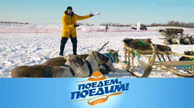 Нарьян-Мар: гонки на оленях, «Буран-день» и секреты северной зимней рыбалки 11.12.2025