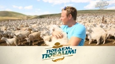 Оренбургская область: знакомство со знаменитыми козами, казачьи игры и баранина в соляной корочке