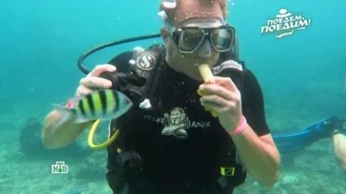 Таиланд: поиски гигантских морских черепах, нить из куколки-шелкопряда, тайский борщ и рыба Пла Пао 10.02.2017