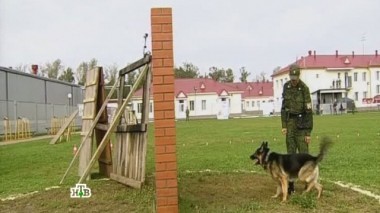 Чемпионат внутренних войск МВД России по многоборью со служебными собаками