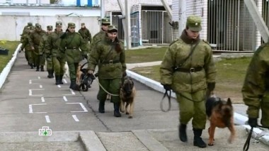 Особенности подготовки служебных собак в кинологическом центре пограничной службы ФСБ России