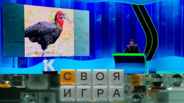 Участники: Дмитрий Кармадонов, Андрей Багно, Алексей Маркин 28.05.2025