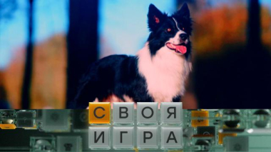 Своя игра / Участники: Кирилл Богловский, Максим Руссо, Людмила Губаева / 07.10.2026