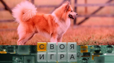 Своя игра / Участники: Леонид Эдлин, Алексей Орлик, Сергей Опанасенко / 22.04.2026