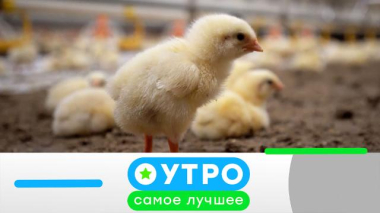 Утро. Самое лучшее / 13 мая 2026 года / 13.05.2026