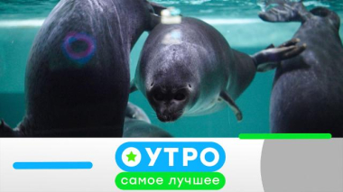 15 сентября 2025 года 15.09.2025