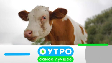 18 марта 2026 года 18.03.2026