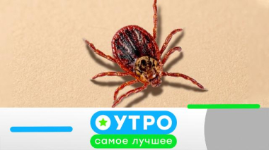 18 мая 2026 года 18.05.2026