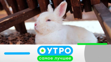 18 сентября 2026 года 18.09.2026