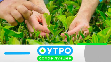 Утро. Самое лучшее / 19 августа 2026 года / 19.08.2026
