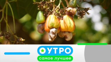 20 мая 2026 года 20.05.2026