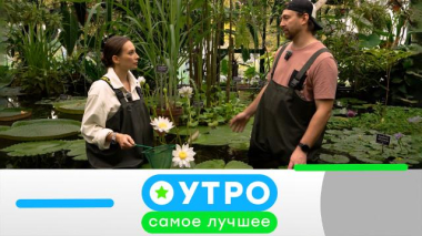 20 октября 2025 года 19.10.2025