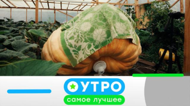 21 апреля 2026 года 21.04.2026