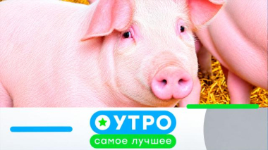 21 сентября 2026 года 21.09.2026