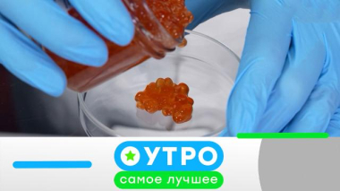 21 января 2026 года 21.01.2026