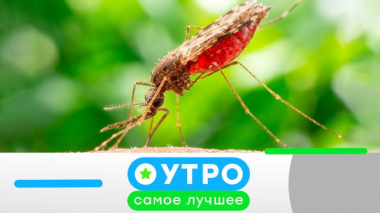 Утро. Самое лучшее / 22 июня 2026 года / 22.06.2026