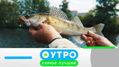 Утро. Самое лучшее / 24 июня 2026 года / 24.06.2026