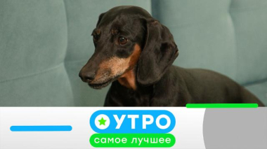 25 мая 2026 года 25.05.2026