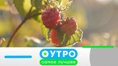 26 февраля 2026 года 26.02.2026