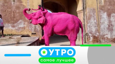 Утро. Самое лучшее / 3 апреля 2026 года / 03.04.2026