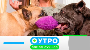 Утро. Самое лучшее / 30 марта 2026 года / 30.03.2026