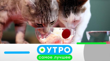 30 сентября 2026 года 30.09.2026