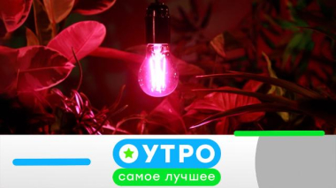 31 октября 2025 года 31.10.2025