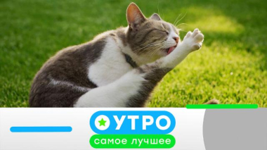 5 августа 2026 года 05.08.2026