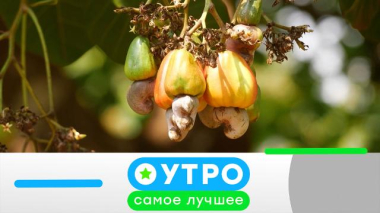 6 августа 2026 года 06.08.2026
