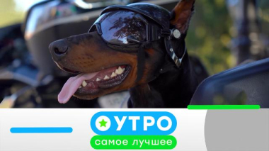 7 сентября 2026 года 07.09.2026