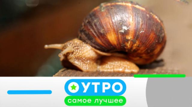 8 октября 2025 года 08.10.2025