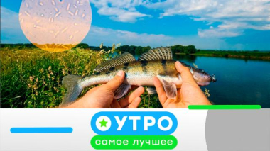 8 октября 2026 года 08.10.2026