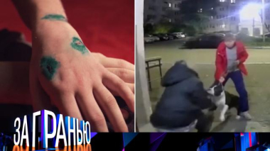 «Кровожадный питомец» 22.10.2025