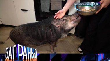 За гранью / «Свинское отношение» / 07.02.2026