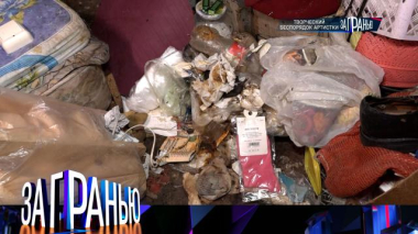 «Творческий беспорядок артистки» 14.02.2026