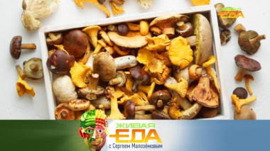 Необычные грибные заготовки, полезные блюда из баклажанов и все о натуральных уксусах 13.10.2023